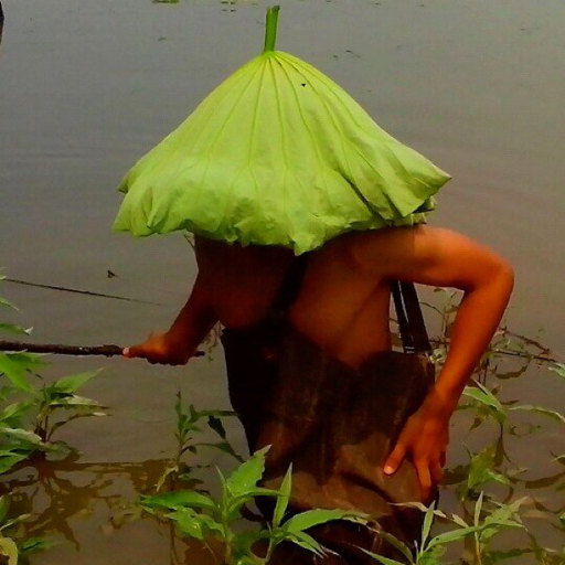盛世马赛克去除器