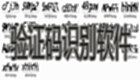 验证码识别软件