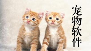 宠物软件