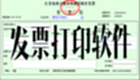 发票打印软件