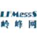 LFMessS 岭峰网行业专用留言系统