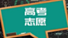 高考志愿大全